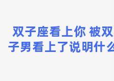 双子座看上你 被双子男看上了说明什么